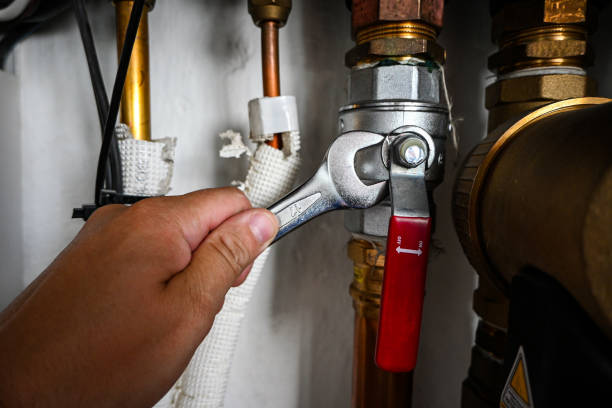 Best Affordable Plumbing Services  in Moweaqua, IL